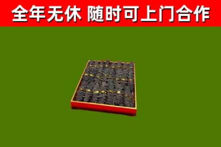 米易回收海参